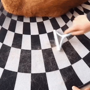 Pet Hair Remover - zenyaa